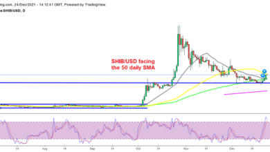 Der echte Bullish-Test für Shiba Inu und Solana (SOL) Coins
