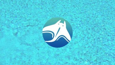 Die Manta Network-Community erhält mit der Einführung von Dolphin Testnet Zugang zu neuen Funktionen