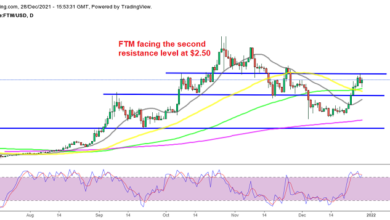 Fantom Crypto (FTM) bereits in der bullischen Zone, Polkadot (DOT) vom 50 SMA abgelehnt