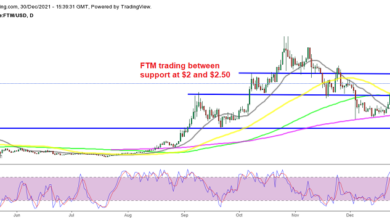 Fantom Crypto (FTM), Binance Coin (BNB) zeigen den Wunsch an, bullisch zu werden