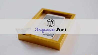 3Space Art gibt den Start seiner innovativen NFT-Plattform bekannt