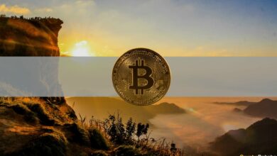 Aus diesem Grund waren 69.000 US-Dollar nicht die Spitze dieses Bitcoin-Zyklus, erklärt PlanB