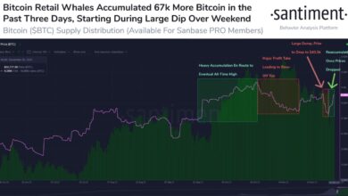 Bitcoin-Wale kauften während des Absturzes auf 42.000 US-Dollar fast 3,5 Milliarden US-Dollar (67.000 BTC)