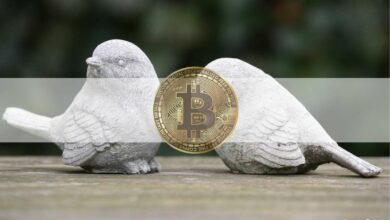 Bitcoin mit 60.000 USD abgelehnt, da eine neue COVID-Variante befürchtet: Zusammenfassung dieser Woche