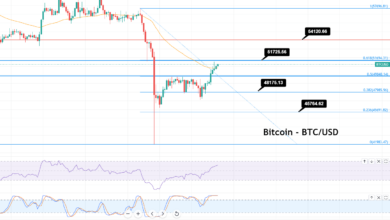 Bitcoin repaints $50.000 – Warum 61,8% Fibonacci ein Schlüssel zur Fortsetzung des Aufwärtstrends sind