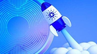 Cardano strebt wahrscheinlich eine 580%-Rallye an, aber ein Altcoin sieht noch stärker aus: Krypto-Analyst