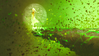 Coin Bureau bullish bei zwei Large-Cap Altcoins, gibt Warnung bei Fantom (FTM) und Near Protocol (NEAR) aus