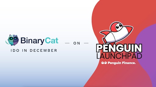 Die binäre Katzen-IDO steht im Dezember-Kalender