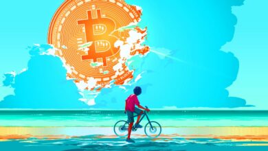 Die jüngste Preisaktion von Bitcoin könnte laut Blockchain-Forscher Anlass zur Besorgnis über diese beliebte BTC-These geben