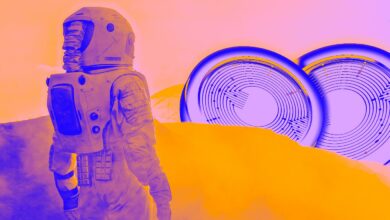 Diese beiden Altcoins haben laut Krypto-Analyst Aaron Arnold ein enormes Potenzial für Dezember