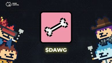 Doge Capital kündigt Doge NFT Staking-Programm an