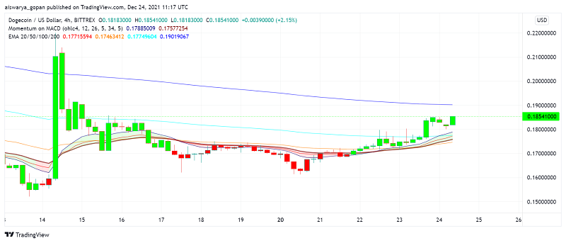Dogecoin steigt, nachdem Elon Musk bestätigt hat, dass er „Pro DOGE“ ist