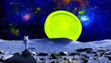 Ethereum Wettbewerber rückt in den Fokus des neuen 500.000.000 $ Investmentfonds der Crypto-Firma