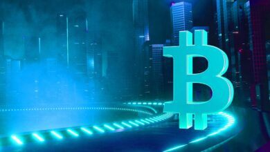 Hier ist die „Wertzone“ für Bitcoin, während die BTC laut On-Chain Analyst Will Clemente