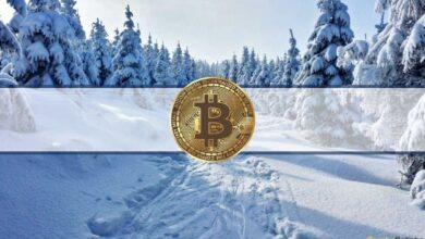 Iran stoppt vorübergehend lokales Bitcoin Mining um Stromausfälle zu verhindern