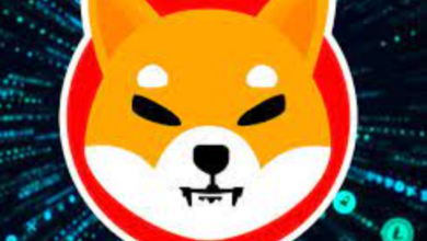 Ist GamingShibas unglaublicher Aufwärtstrend vorbei oder wird er nur langsamer?