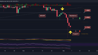 Ist die Korrektur von XRP nach dem Absturz auf 0,6 USD vorbei?