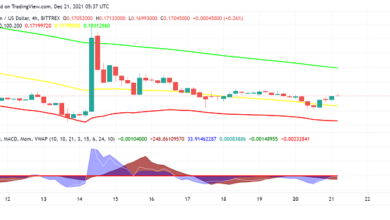 Kann Dogecoin (DOGE) den Drehpunkt bei den neuesten Entwicklungen überschreiten?
