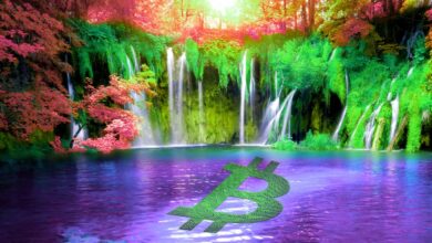 Krypto-Analyst Justin Bennett prognostiziert Umkehrszenarien für Bitcoin und One Enterprise Blockchain Altcoin