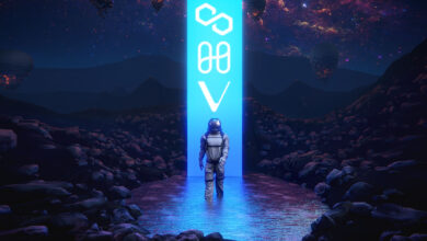 Krypto-Analyst Michaël van de Poppe beschreibt den weiteren Weg für Polygon, Harmony und VeChain