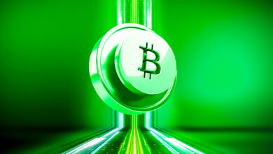 Laut Veteran Trader Tone Vays sieht Bitcoin beängstigend aus – hier ist sein Worst-Case-Szenario für BTC
