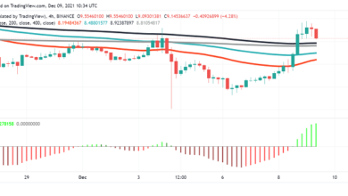NEAR-Protokoll steigt und macht zweistellige Gewinne in einem Bärenmarkt