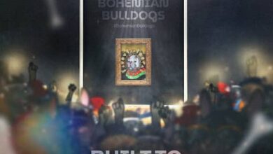 Nach NFTs expandieren Bohemian Bulldogs in die Metaverse-Welt