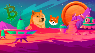 Shib Inu und Dogecoin-Konkurrent explodieren in nur einer Woche um 50 %, als Bitcoin die 51.000-Dollar-Marke knackt