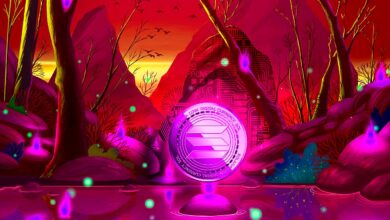 Unten ist angesagt Ethereum Konkurrent Solana (SOL) und ein "vergessener" Altcoin, sagt Top Crypto Analyst
