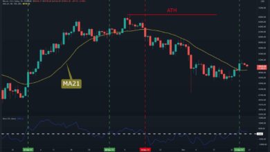 Volatilität erwartet während des Ablaufs der BTC-Optionen am 31. Dezember