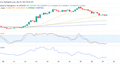 Was Sie vom NEAR-Protokoll (NEAR) nach der starken Performance im Dezember erwarten können
