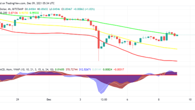 XRP-Preisvorhersage: Märkte warten Ripple's legaler Sieg für die Rallye?