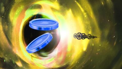 Zwei Ethereum Rivalen gehören zu den Top-Holdings des größten Binance Smart Chain Wale