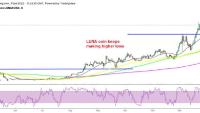 ETH-Killer Terra LUNA, Avalanche Krypto (AVAX) strebt neue Höchststände an