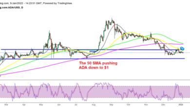 Cardano (ADA), Shiba Inu Approach Einkaufszone