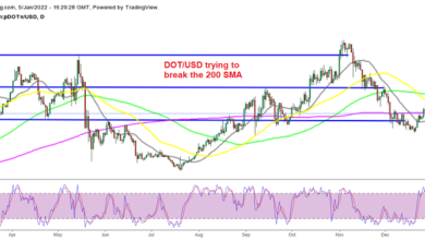 MAs stoppen Polkadot (DOT) und Binance Coins (BNB), um bullisch zu werden