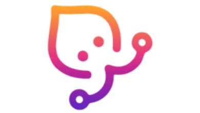 Calamari Network führt im Zuge der fortschreitenden Dezentralisierungsmaßnahmen Community-Governance-Maßnahmen ein