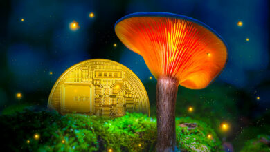 Eins Ethereum Rivale sieht großen Durchbruch, nachdem er 1.200.000.000 $ an Gesamtwert gewonnen hat: Delphi Digital