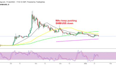 Shiba Inu Coin setzt den Niedergang fort, Fantom (FTM) blickt trotz des Rückzugs nach oben
