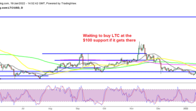 Litecoin (LTC), Cardano (ADA) können die Gewinne nicht halten