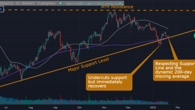 Binance (BNB)-Preisanalyse: Anzeichen einer Erholung, da Bullen wichtige Unterstützungsniveaus verteidigen