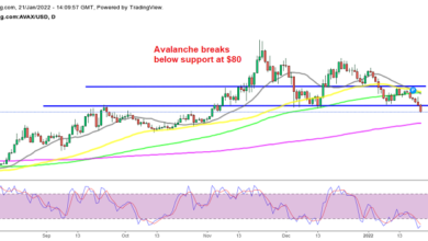 Gepunktet (PUNKT), Avalanche Crypto (AVAX) Break Support, da der Verkauf wieder zunimmt