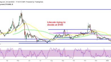 Können Litecoin LTC und Cardano ADA bei 100 $ bzw. 1 $ umkehren?