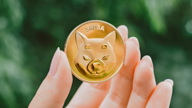 Wird Shiba Inu Coin Rally im Jahr 2022?