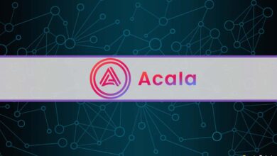 Acala deutet die Einführung von Kernprodukten nach dem offiziellen Start auf Polkadot an