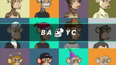 Alles, was Sie wissen müssen