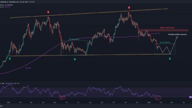 BTC bei 37.000 $ Aber ist es ein Dead Cat Bounce?