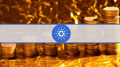 Bestimmte Cardano-Investoren verdoppelten ihre ADA-Bestände während des Crashs