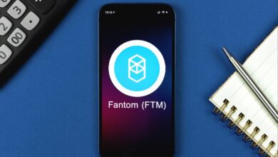 Binance Smart Chain und Avalanche den Weg für Fantom ebnen