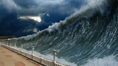 Bitcoin Aid erreicht das vom Tsunami heimgesuchte Tonga, wenn die Kommunikationsleitungen unterbrochen sind